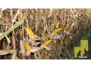 Property photo 6 - 1,153 +/- Acres offered in 15 TractsLAND AUCTION